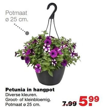 Aanbiedingen Petunia in hangpot - Huismerk - Praxis - Geldig van 01/05/2017 tot 07/05/2017 bij Praxis