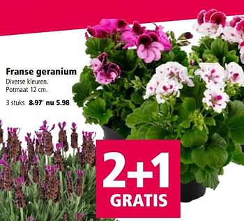 Aanbiedingen Franse geranium - Huismerk - Welkoop - Geldig van 01/05/2017 tot 07/05/2017 bij Welkoop