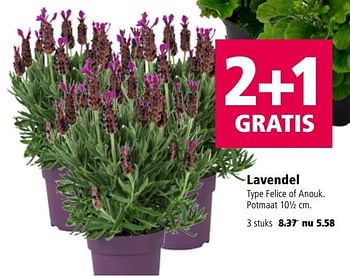 Aanbiedingen Lavendel - Huismerk - Welkoop - Geldig van 01/05/2017 tot 07/05/2017 bij Welkoop