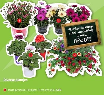 Aanbiedingen Franse geranium - Huismerk - Formido - Geldig van 01/05/2017 tot 14/05/2017 bij Formido