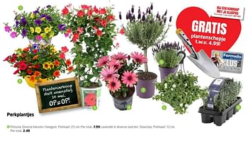 Aanbiedingen Perkplantjes petunia. diverse kleuren. hangpot - Huismerk - Formido - Geldig van 08/05/2017 tot 14/05/2017 bij Formido