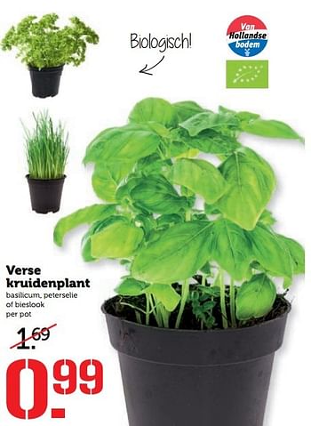 Aanbiedingen Verse kruidenplant - Huismerk - Coop - Geldig van 08/05/2017 tot 14/05/2017 bij Coop