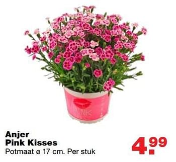 Aanbiedingen Anjer pink kisses - Huismerk - Praxis - Geldig van 08/05/2017 tot 14/05/2017 bij Praxis