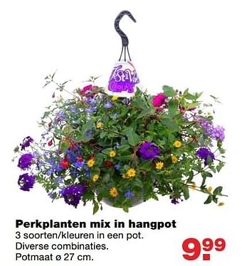 Aanbiedingen Perkplanten mix in hangpot - Huismerk - Praxis - Geldig van 08/05/2017 tot 14/05/2017 bij Praxis
