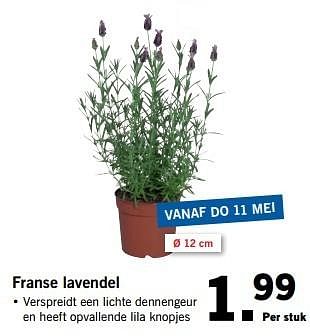 Aanbiedingen Franse lavendel - Huismerk - Lidl - Geldig van 08/05/2017 tot 14/05/2017 bij Lidl