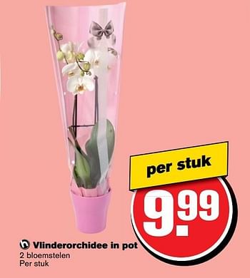 Aanbiedingen Vlinderorchidee in pot - Huismerk - Hoogvliet - Geldig van 10/05/2017 tot 16/05/2017 bij Hoogvliet