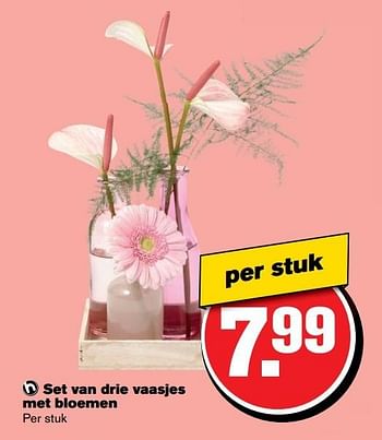 Aanbiedingen Set van drie vaasjes met bloemen - Huismerk - Hoogvliet - Geldig van 10/05/2017 tot 16/05/2017 bij Hoogvliet