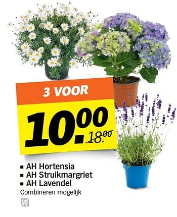 Aanbiedingen Ah hortensia - Huismerk - Albert Heijn - Geldig van 08/05/2017 tot 14/05/2017 bij Albert Heijn