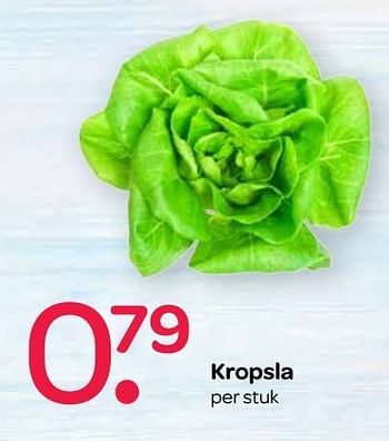 Aanbiedingen Kropsla - Huismerk - Spar  - Geldig van 04/05/2017 tot 17/05/2017 bij Spar