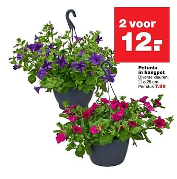Aanbiedingen Petunia in hangpot - Huismerk - Praxis - Geldig van 08/05/2017 tot 14/05/2017 bij Praxis