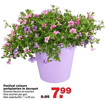 Aanbiedingen Festival colours perkplanten in decopot - Huismerk - Praxis - Geldig van 08/05/2017 tot 14/05/2017 bij Praxis
