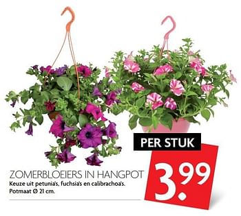 Aanbiedingen Zomerbloeiers in hangpot - Huismerk - Deka Markt - Geldig van 14/05/2017 tot 20/05/2017 bij Deka Markt