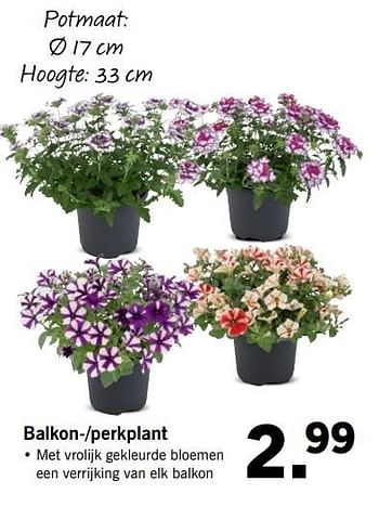 Aanbiedingen Balkon--perkplant - Huismerk - Lidl - Geldig van 14/05/2017 tot 21/05/2017 bij Lidl