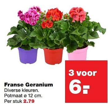 Aanbiedingen Franse geranium - Huismerk - Praxis - Geldig van 15/05/2017 tot 21/05/2017 bij Praxis