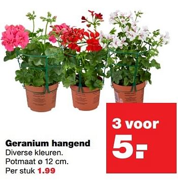 Aanbiedingen Geranium hangend - Huismerk - Praxis - Geldig van 15/05/2017 tot 21/05/2017 bij Praxis