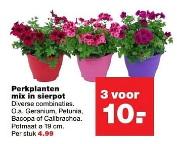 Aanbiedingen Perkplanten mix in sierpot - Huismerk - Praxis - Geldig van 15/05/2017 tot 21/05/2017 bij Praxis