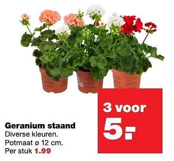 Aanbiedingen Geranium staand - Huismerk - Praxis - Geldig van 15/05/2017 tot 21/05/2017 bij Praxis