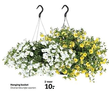 Aanbiedingen Hanging basket diverse kleurrijke soorten - Huismerk- Boerenbond - Geldig van 15/05/2017 tot 28/05/2017 bij Boerenbond