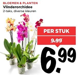 Aanbiedingen Vlinderorchidee - Huismerk Vomar - Geldig van 21/05/2017 tot 27/05/2017 bij Vomar