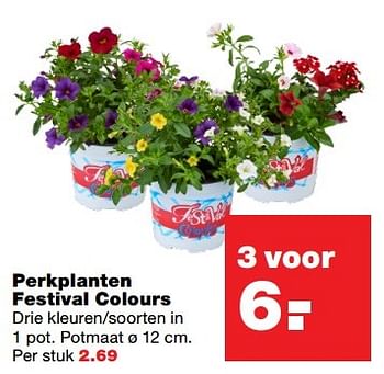 Aanbiedingen Perkplanten festival colours - Huismerk - Praxis - Geldig van 22/05/2017 tot 31/05/2017 bij Praxis