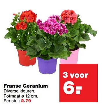 Aanbiedingen Franse geranium - Huismerk - Praxis - Geldig van 22/05/2017 tot 31/05/2017 bij Praxis