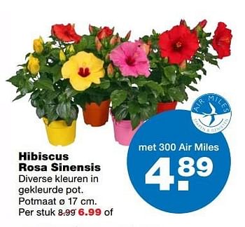 Aanbiedingen Hibiscus rosa sinensis - Huismerk - Praxis - Geldig van 22/05/2017 tot 31/05/2017 bij Praxis