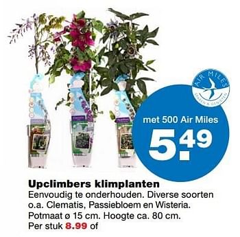 Aanbiedingen Upclimbers klimplanten - Huismerk - Praxis - Geldig van 22/05/2017 tot 31/05/2017 bij Praxis