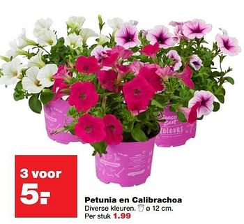Aanbiedingen Petunia en calibrachoa diverse kleuren - Huismerk - Praxis - Geldig van 22/05/2017 tot 31/05/2017 bij Praxis