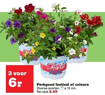 Aanbiedingen Perkgoed festival of colours diverse soorten - Huismerk - Praxis - Geldig van 22/05/2017 tot 31/05/2017 bij Praxis