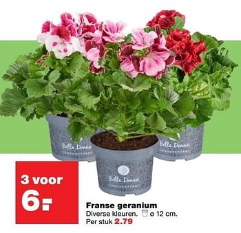 Aanbiedingen Franse geranium diverse kleuren - Huismerk - Praxis - Geldig van 22/05/2017 tot 31/05/2017 bij Praxis