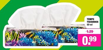 Aanbiedingen Tempo tissuebox - Tempo - Geldig van 22/05/2017 tot 04/06/2017 bij Big Bazar