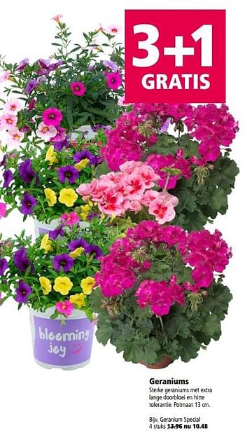 Aanbiedingen Geranium special - Huismerk - Welkoop - Geldig van 22/05/2017 tot 05/06/2017 bij Welkoop