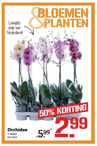 Aanbiedingen Orchidee - Huismerk - Coop - Geldig van 29/05/2017 tot 04/06/2017 bij Coop