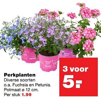 Aanbiedingen Perkplanten - Huismerk - Praxis - Geldig van 23/05/2017 tot 31/05/2017 bij Praxis