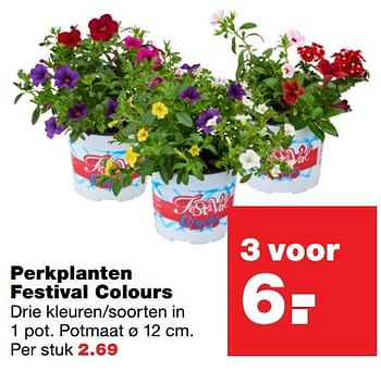 Aanbiedingen Perkplanten festival colours - Huismerk - Praxis - Geldig van 23/05/2017 tot 31/05/2017 bij Praxis
