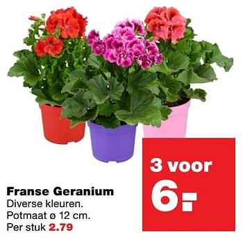 Aanbiedingen Franse geranium - Huismerk - Praxis - Geldig van 23/05/2017 tot 31/05/2017 bij Praxis