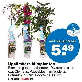 Aanbiedingen Upclimbers klimplanten - Huismerk - Praxis - Geldig van 23/05/2017 tot 31/05/2017 bij Praxis