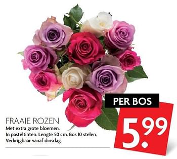 Aanbiedingen Fraaie rozen - Huismerk - Deka Markt - Geldig van 28/05/2017 tot 03/06/2017 bij Deka Markt