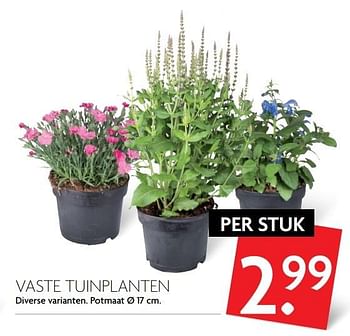 Aanbiedingen Vaste tuinplanten - Huismerk - Deka Markt - Geldig van 28/05/2017 tot 03/06/2017 bij Deka Markt