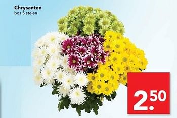 Aanbiedingen Chrysanten - Huismerk deen supermarkt - Geldig van 28/05/2017 tot 05/06/2017 bij Deen Supermarkten