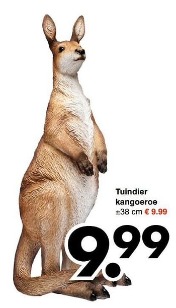 Aanbiedingen Tuindier kangoeroe - Huismerk - Wibra - Geldig van 29/05/2017 tot 10/06/2017 bij Wibra