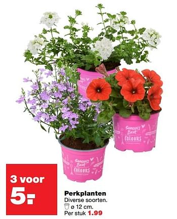 Aanbiedingen Perkplanten - Huismerk - Praxis - Geldig van 01/06/2017 tot 11/06/2017 bij Praxis