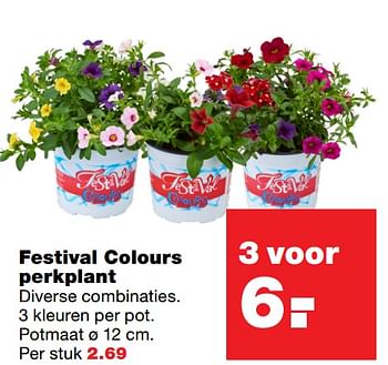 Aanbiedingen Festival colours perkplant - Huismerk - Praxis - Geldig van 01/06/2017 tot 11/06/2017 bij Praxis
