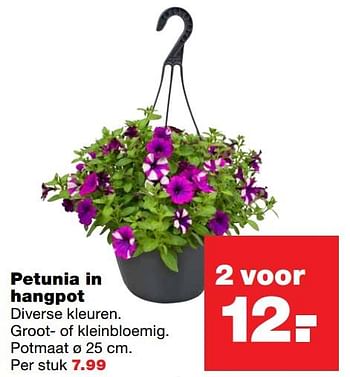 Aanbiedingen Petunia in hangpot - Huismerk - Praxis - Geldig van 01/06/2017 tot 11/06/2017 bij Praxis