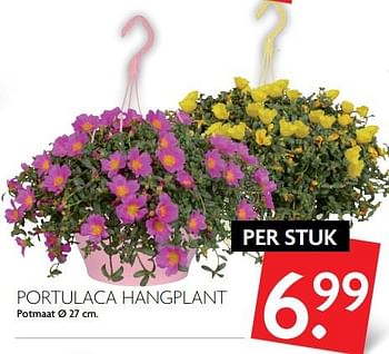 Aanbiedingen Portulaca hangplant - Huismerk - Deka Markt - Geldig van 04/06/2017 tot 10/06/2017 bij Deka Markt