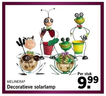 Aanbiedingen Decoratieve solarlamp - Melinera - Geldig van 05/06/2017 tot 10/06/2017 bij Lidl