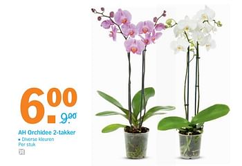 Aanbiedingen Ah orchidee - Huismerk - Albert Heijn - Geldig van 06/06/2017 tot 11/06/2017 bij Albert Heijn