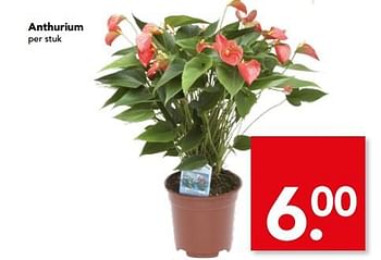 Aanbiedingen Anthurium - Huismerk deen supermarkt - Geldig van 04/06/2017 tot 10/06/2017 bij Deen Supermarkten