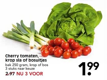 Aanbiedingen Cherry tomaten, krop sla of bosuitjes - Huismerk - Em-té - Geldig van 11/06/2017 tot 17/06/2017 bij Em-té