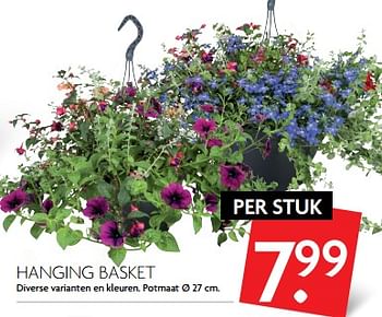 Aanbiedingen Hanging basket - Huismerk - Deka Markt - Geldig van 11/06/2017 tot 17/06/2017 bij Deka Markt